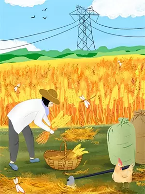 真实的伊朗到底是一个怎样的国家