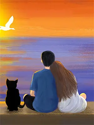 缘分已散何来圆满后续完整版